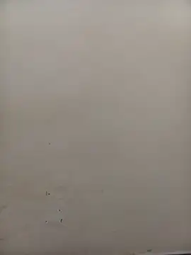 patriciaven (Ask my age) - Tweak naked and open asshole