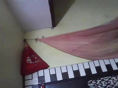 Stubborndesiboy webcam