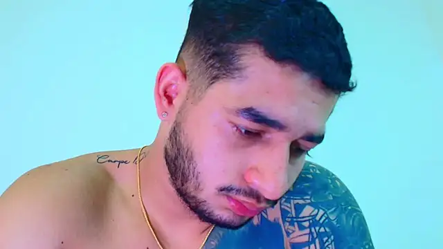 king_falconer webcam