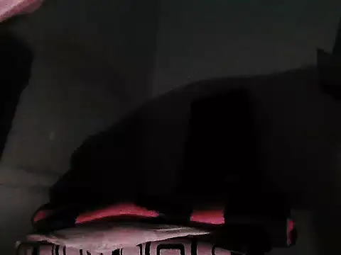 GordoChancludoSLP webcam