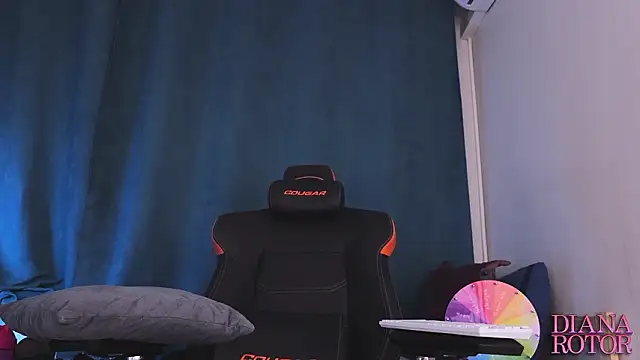 diana_rotor webcam