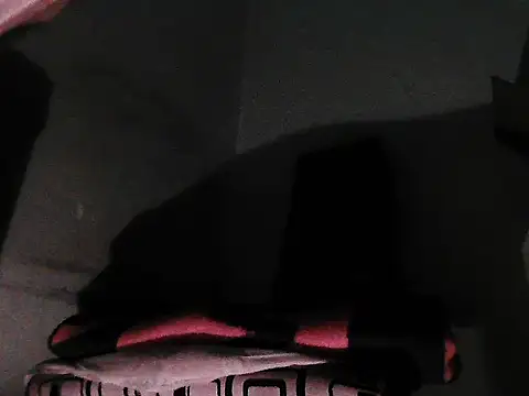 GordoChancludoSLP webcam