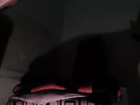 GordoChancludoSLP webcam