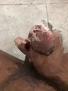 OpenPicture19 webcam