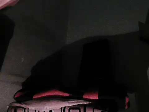 GordoChancludoSLP webcam