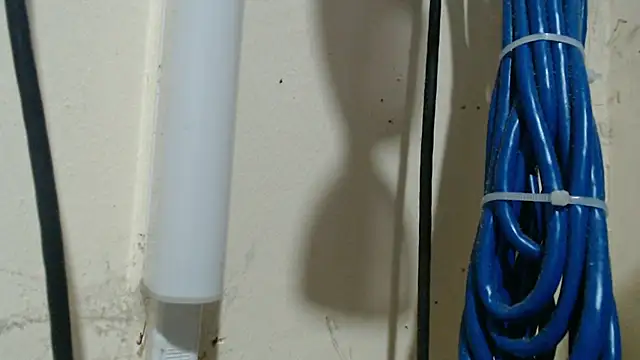 Charming_lexi webcam