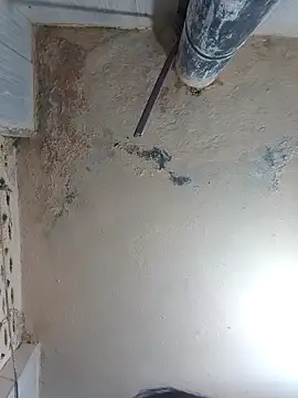 hyd_couple7878 (F milf) - #affordable-cam2cam #ahegao #anal #anal-creampie #anal-indian #anal-milfs #anal-toys #ass-to-mouth #big-ass #big-ass-anal #big-ass-big-tits #big-ass-creampie #big-ass-indian #big-ass-milfs #big-clit #big-tits #big-tits-anal #big-tits-blowjob #big-tits-creampie #big-tits-indian #big-tits-milfs #bisexuals #black-hair #black-hair-milfs #blowjob #blowjob-ahegao #blowjob-milfs #bukkake #cam2cam #camel-toe #cheapest-privates #cheapest-privates-indian #cheapest-privates-milfs #cooking #corset #cosplay #cosplay-milfs #cowgirl #creampie #creampie-milfs #hd #indian #indian-milfs #medium #milfs #mobile #mobile-milfs #telugu