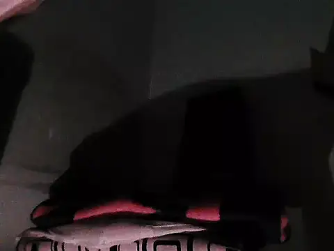 GordoChancludoSLP webcam