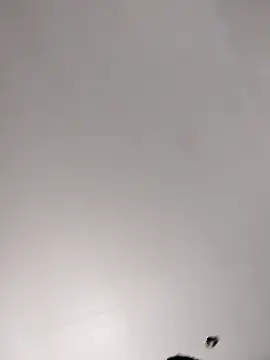 Wantmyassfilled webcam