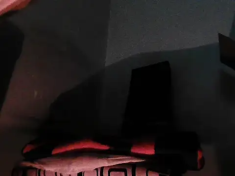 GordoChancludoSLP webcam