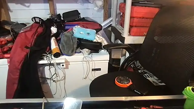 SinlessFreedom7 webcam