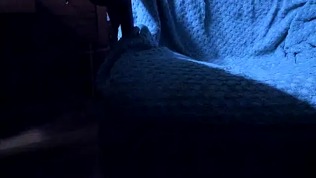 leccaleccafiga webcam