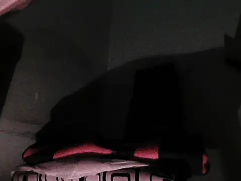 GordoChancludoSLP webcam