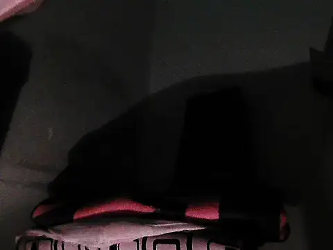 GordoChancludoSLP webcam