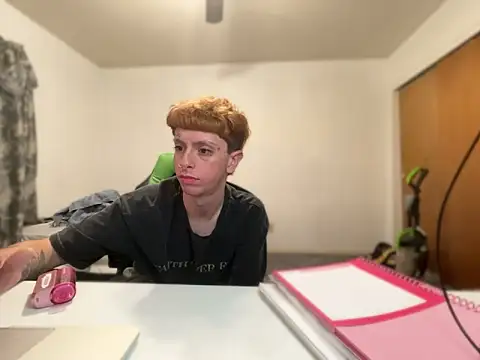 twentywithafelonyy webcam