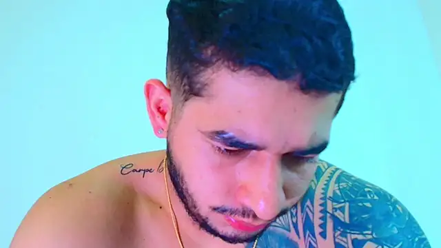 king_falconer webcam