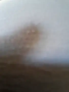 SWEETDOLLY29XX webcam