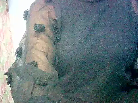 wild_paaro - Wild_Paaro's free webcam