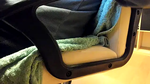 leccaleccafiga webcam