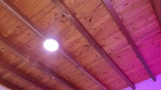 Im_FelixHunter webcam