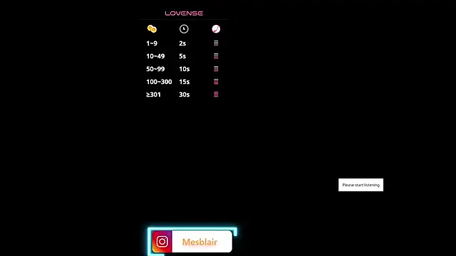 blair___mester webcam