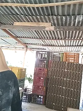 hoteder (M young) - SPANK ASS x10 😈