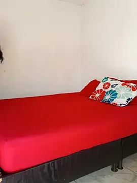 LEIRIS_Y_FRED_01 webcam