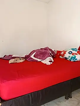 LEIRIS_Y_FRED_01 webcam