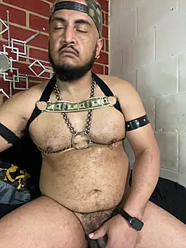 the_master_foal_ webcam