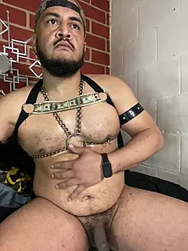 the_master_foal_ webcam