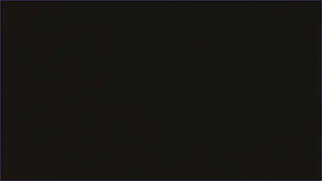 Geisha_Seniers webcam