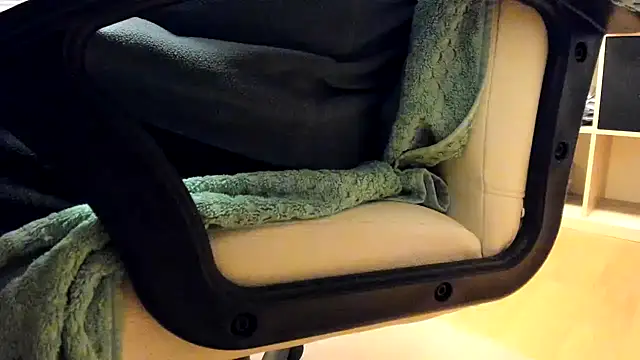 leccaleccafiga webcam