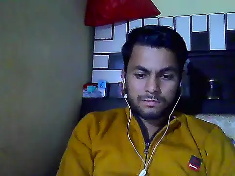 Stubborndesiboy webcam