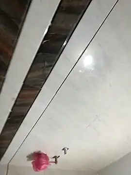 Bengal_Tiger420 webcam