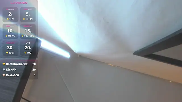 Sang_woo_Lee_ webcam