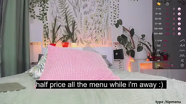 sierra_diamond webcam