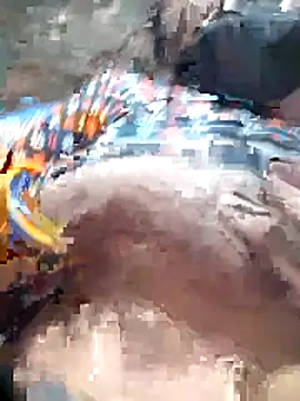 rani_012 - Rani_012's free webcam