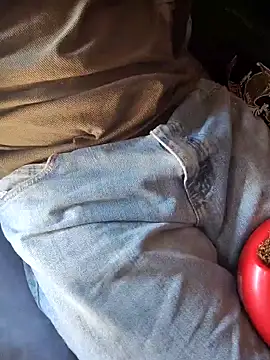 FloppyPickle4u webcam