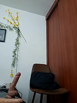 Luis_prince_ webcam