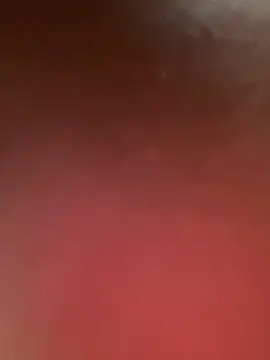 Brandy_Mr-Whiskers webcam