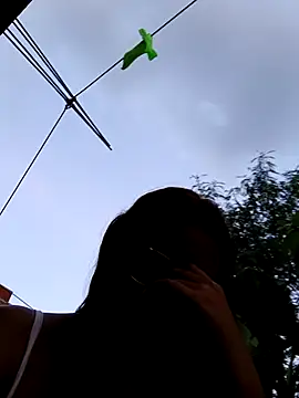 young_dairy01 webcam