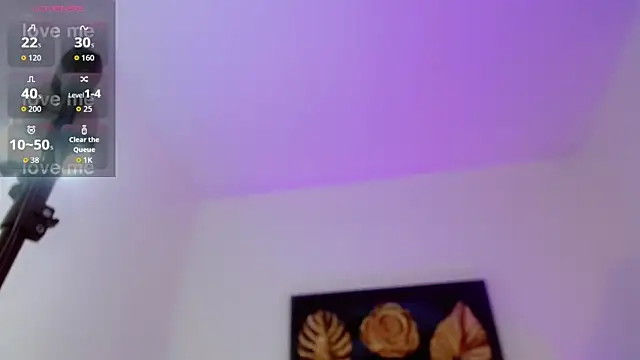 Adriana_Rodriguez_ webcam