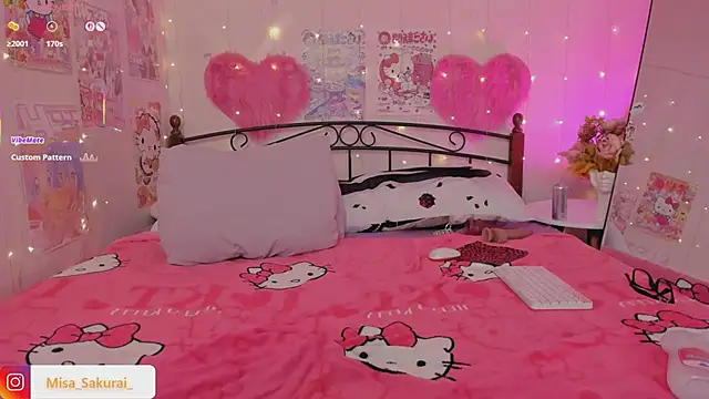 Misa_Sakurai webcam