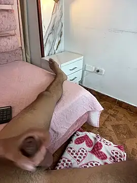 kameron_and_Nick webcam