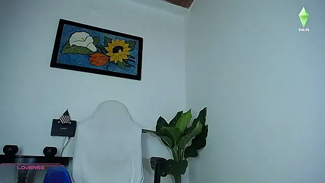 diamond_black00 webcam