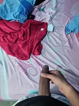 Scorpion_22cm webcam