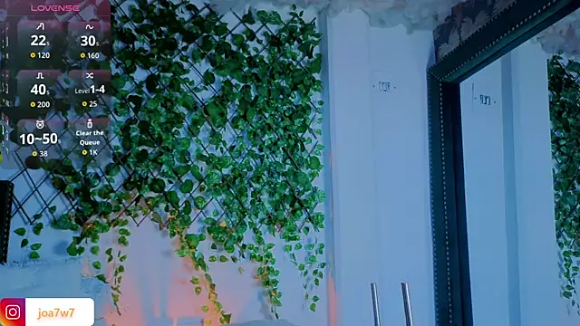 Levii_Ackermann webcam