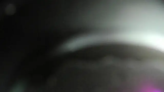 PauletteSanderss webcam