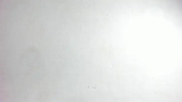 emma_cartter1 - Emma_cartter1's free webcam