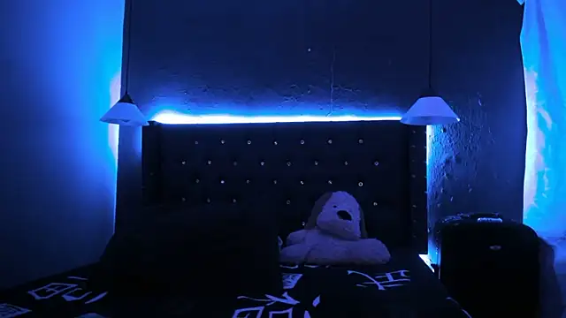 Salomon_koude webcam